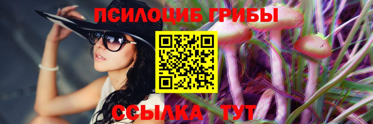 Псилоцибиновые грибы GOLDEN TEACHER Наро-Фоминск
